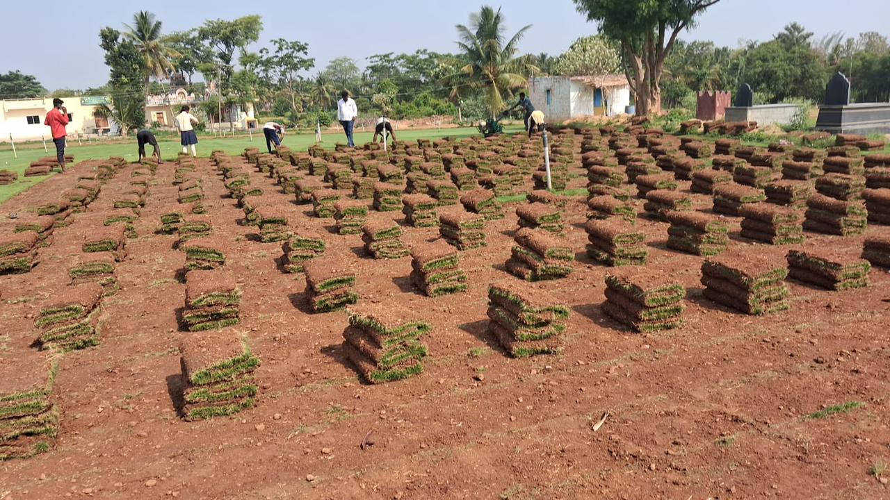 Landscape Project